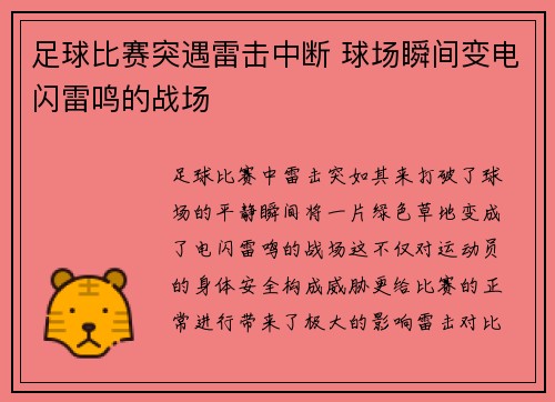 足球比赛突遇雷击中断 球场瞬间变电闪雷鸣的战场